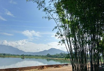 云山绿湖度假村第 5 张图片