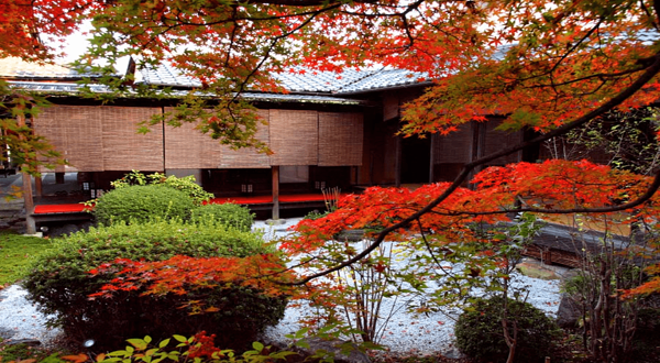 闲卧庵精進料理