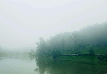 天府茶灵谷度假区第 8 张图片