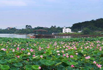 云山绿湖度假村第 6 张图片