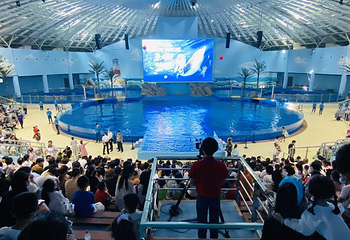 阜阳尧泰汉海海洋公园第 19 张图片