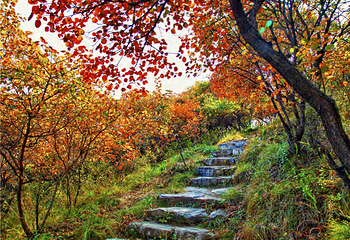 北京药王谷风景区第 14 张图片