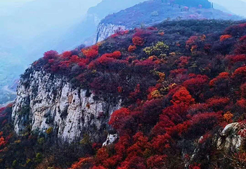 山东文旅·红叶柿岩旅游区第 4 张图片