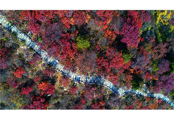 北京药王谷风景区第 25 张图片