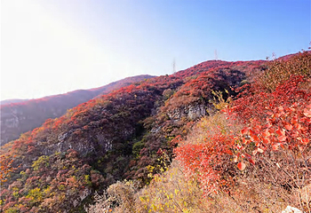 北京药王谷风景区第 26 张图片