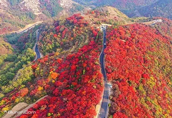 山东文旅·红叶柿岩旅游区第 15 张图片
