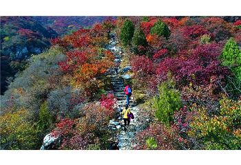 北京药王谷风景区第 43 张图片