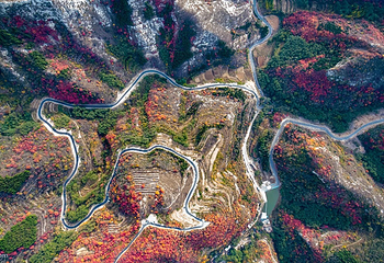 山东文旅·红叶柿岩旅游区第 42 张图片