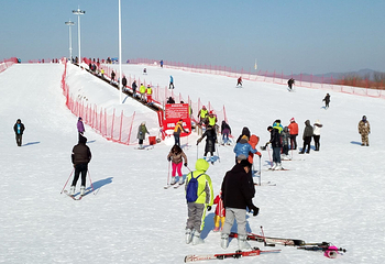 太阳岛冰雪大世界第 9 张图片