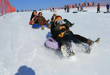 太阳岛冰雪大世界第 15 张图片