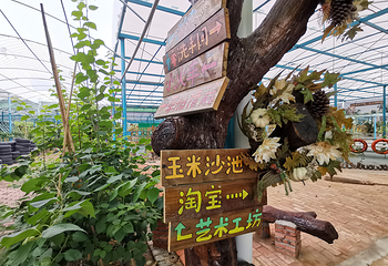 麻涌飞鸭开心农场第 19 张图片