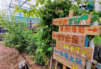 麻涌飞鸭开心农场第 17 张图片