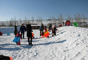 太阳岛冰雪大世界第 11 张图片