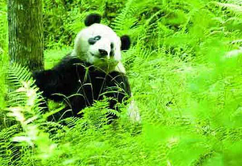 片口自然保护区第 1 张图片