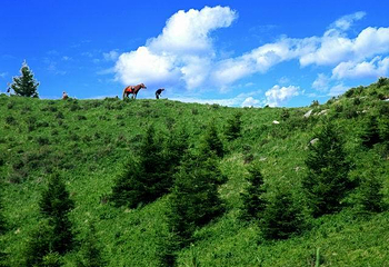 五岳寨风景区第 3 张图片
