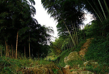 化安山阳明温泉旅游景区第 12 张图片
