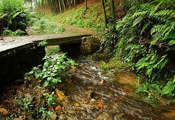 化安山阳明温泉旅游景区第 13 张图片