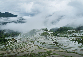 云和梯田景区第 6 张图片