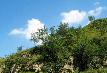 秋山风景区第 6 张图片