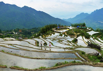 云和梯田景区第 5 张图片