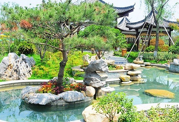 智圣汤泉旅游度假村第 18 张图片