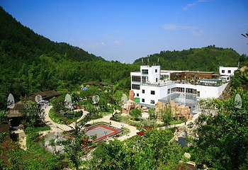 黄山醉温泉第 40 张图片