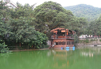 广州市三百洞森林养生度假山庄第 8 张图片