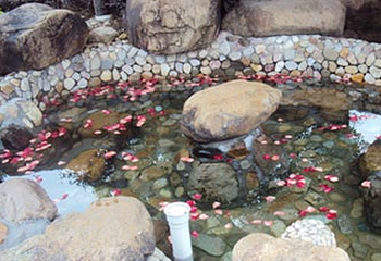 桂湖芙蓉温泉第 4 张图片