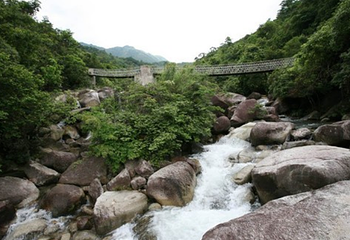 屏峰雨林恐龙公园第 8 张图片