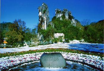 神龙水世界第 10 张图片