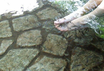 龙佳生态温泉山庄第 19 张图片