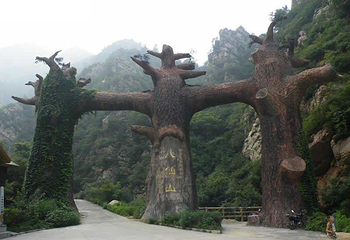 八仙山自然保护区第 9 张图片