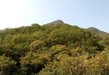 八仙山自然保护区第 10 张图片
