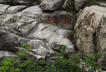 莱芜莲花山风景区第 5 张图片