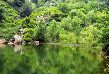 莱芜莲花山风景区第 6 张图片