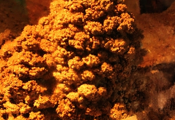 沂源灵芝洞景区第 6 张图片