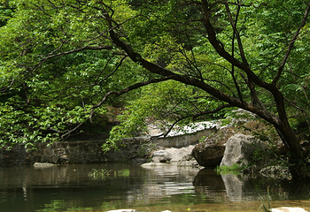 中坝大峡谷第 14 张图片