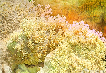 沂源灵芝洞景区第 11 张图片