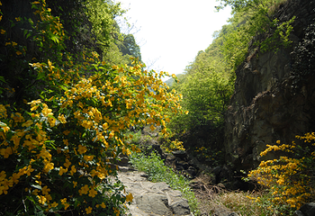 中坝大峡谷第 15 张图片