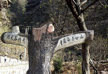灯台架景区第 17 张图片