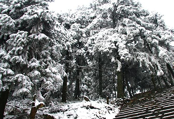 摩围山景区第 16 张图片