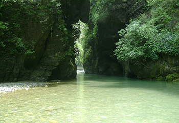巴人河生态旅游区(三峡女人谷)第 40 张图片