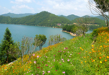 云和湖仙宫景区第 21 张图片