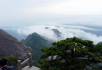 山谷流泉文化园第 40 张图片