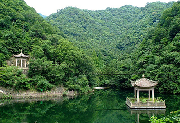 宁海森林温泉第 30 张图片