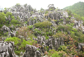 九咆界风景区第 5 张图片