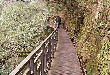 文成铜铃山森林公园景区第 40 张图片