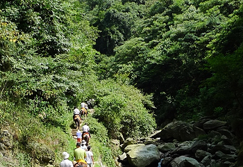 茶马古道风景区第 32 张图片