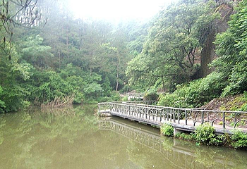 东西岩景区第 16 张图片
