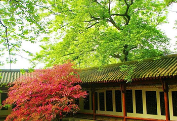 新昌大佛寺景区第 7 张图片